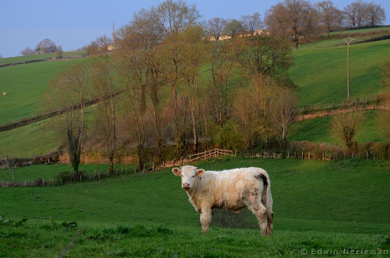 ENE-20130422-0025.jpg - Vareilles (Saône-et-Loire)